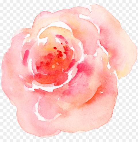 ink watercolor flower - pink flower watercolor PNG graphics with transparent backdrop