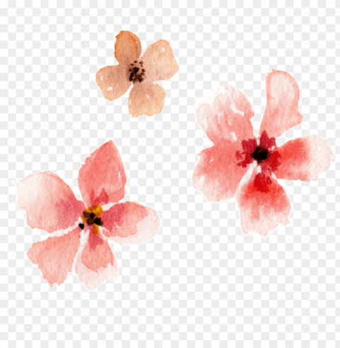 ink watercolor hand-painted flower material - watercolor painti Isolated Object with Transparent Background PNG
