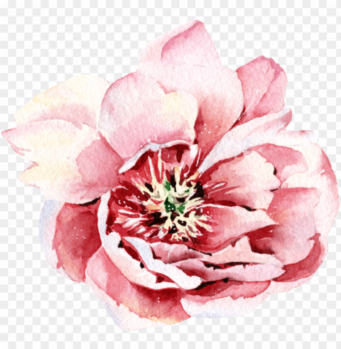 ink watercolor hand painted flowers transparent - portable network graphics PNG images for banners