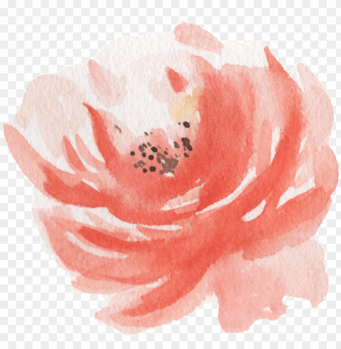ink watercolor hand painted flowers - watercolor painti Transparent background PNG stockpile assortment