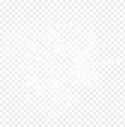 input lionfish Transparent background PNG stock PNG transparent with Clear Background ID 4daecded