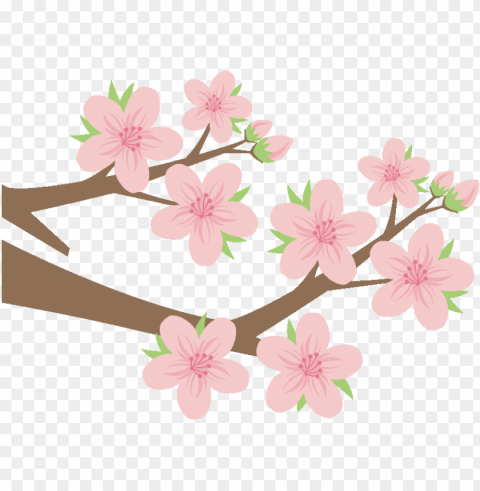 input sakura-2 PNG files with no background assortment PNG transparent with Clear Background ID 2cce96ae