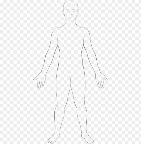 interactive body - sketch PNG Image with Transparent Cutout PNG transparent with Clear Background ID ea24efa3