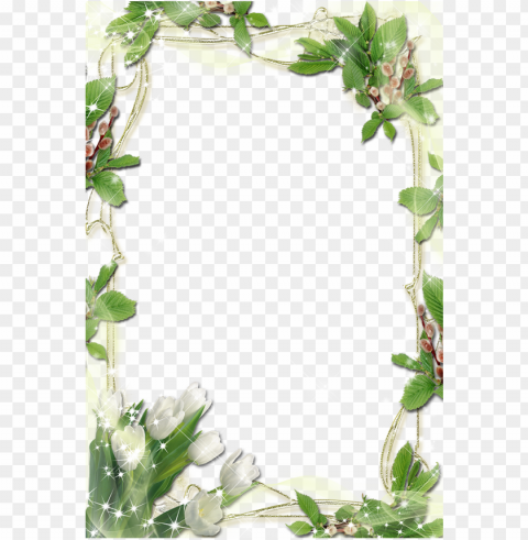 international plant womens day mothers free download - mothers day frame PNG graphics with alpha transparency broad collection