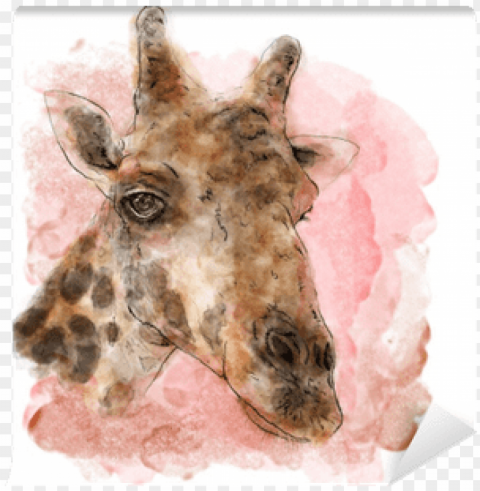 iraffe on watercolor painting vector art - painti PNG with alpha channel for download