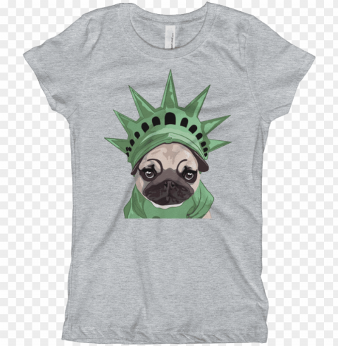 irls pug face t-shirt - youth girl's dachshund t-shirt dachshund dog tee Clear Background PNG Isolation