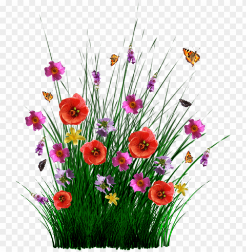 isolated spring flowers grass meadow - pasto con flores PNG images for merchandise