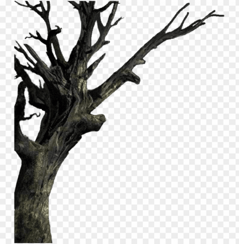 isolated the tree - haunted trees background PNG transparent photos mega collection