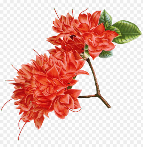 It - Artificial Flower HighQuality Transparent PNG Object Isolation