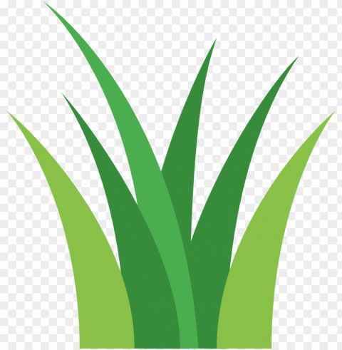 it is a patch of grass - grass icon HighResolution Isolated PNG with Transparency