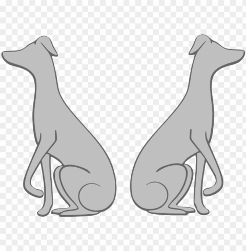 italian greyhound - do PNG transparent images for websites