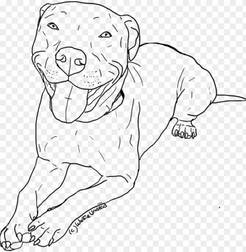 itbull coloring pages to download and print for free - pitbull line drawi Isolated Icon with Clear Background PNG