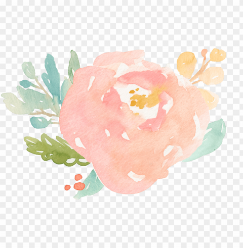 i've been there too but for a long time i've been - watercolor flower Clear Background PNG Isolated Illustration