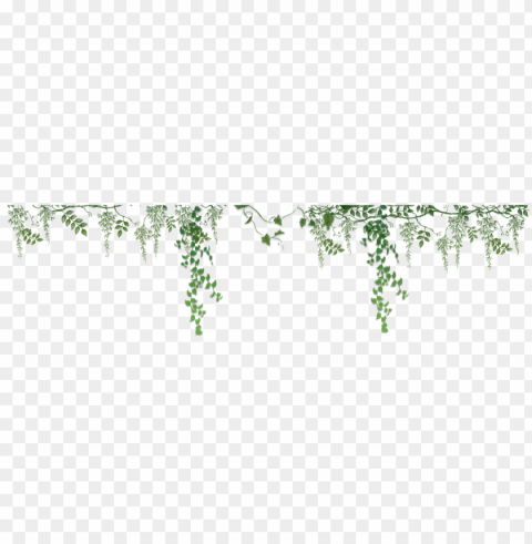 ivy border related keywords & suggestions - portable network graphics Background-less PNGs