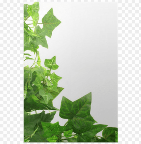 ivy leaf border PNG free download