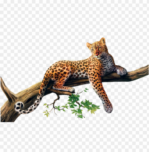 jaguar animal - jaguar PNG files with alpha channel PNG transparent with Clear Background ID 248afcf4