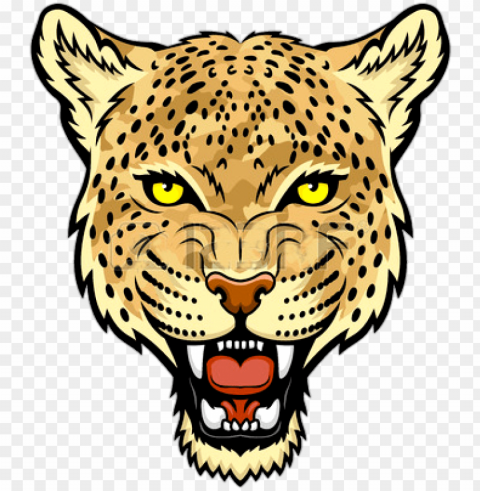 jaguar face transparent picture - leopard face clip art PNG Image Isolated with High Clarity