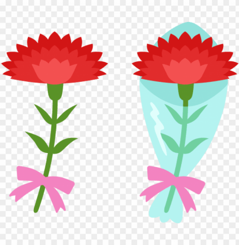 japanese mother's day red carnation free and vector - carnation free vector Isolated Object in Transparent PNG Format