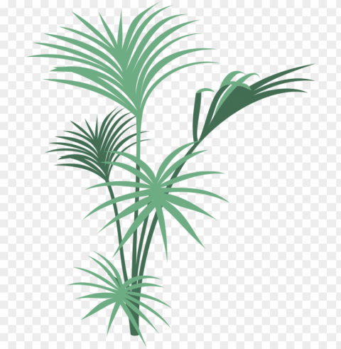 jd 020 tarzan actor denny miller part - jungle plants transparent Free PNG file