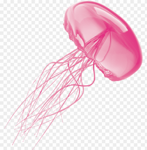 jellyfish background - background jellyfish Isolated Object on Transparent PNG