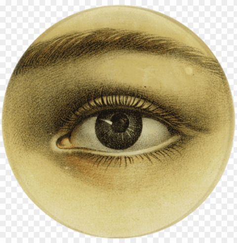 john derian eye Transparent PNG images complete library