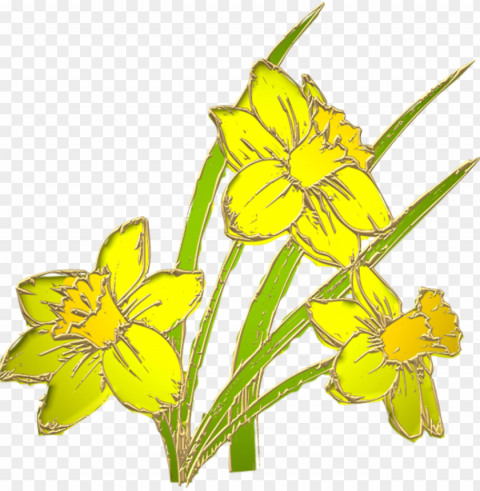 jonquilles jonquille27m1 - mother's day PNG for presentations PNG transparent with Clear Background ID d4c168c8