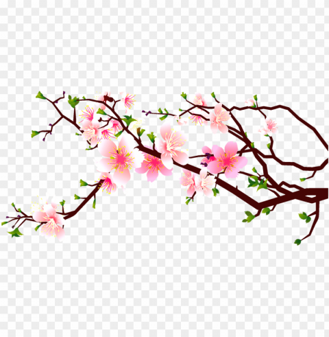 jpg black and white download at getdrawings com free - cherry blossoms clipart free Isolated Item with Transparent Background PNG