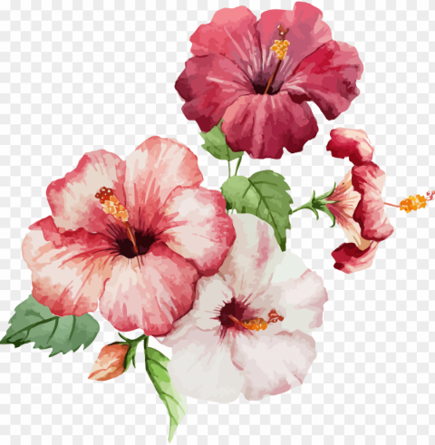 jpg download hibiscus flower painting flowers transprent - hibiscus flower watercolor PNG Graphic Isolated on Clear Backdrop