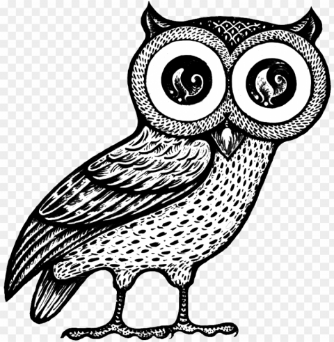 jpg free library conventional wisdom enlightened interaction - owl of athena Transparent background PNG gallery