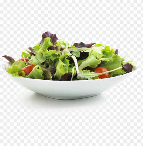 jpg stock terras garden cleaner is better - bowl of salad Isolated Icon with Clear Background PNG