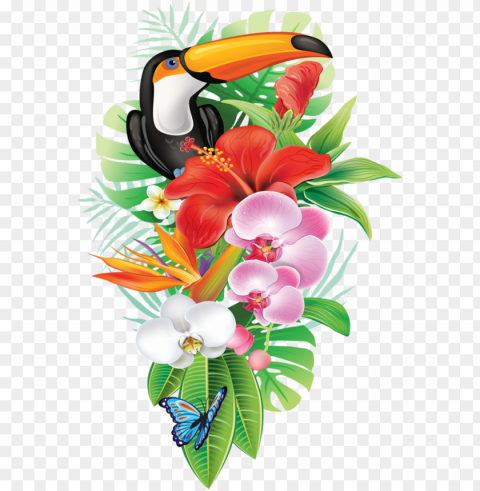 jpg transparent download a d f orig pinterest - tropical PNG Isolated Subject with Transparency
