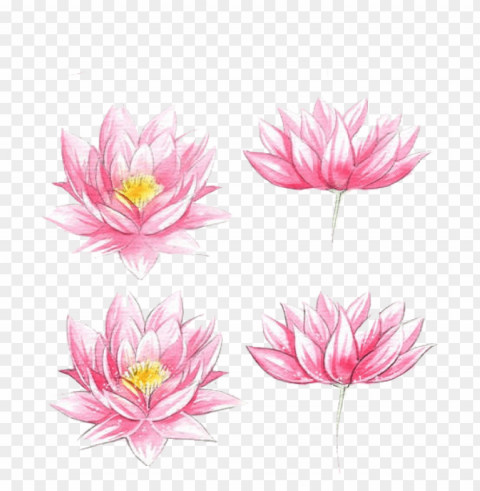 jpg transparent stock flowers watercolor painting lotus - watercolor flowers easy draw PNG with Isolated Object