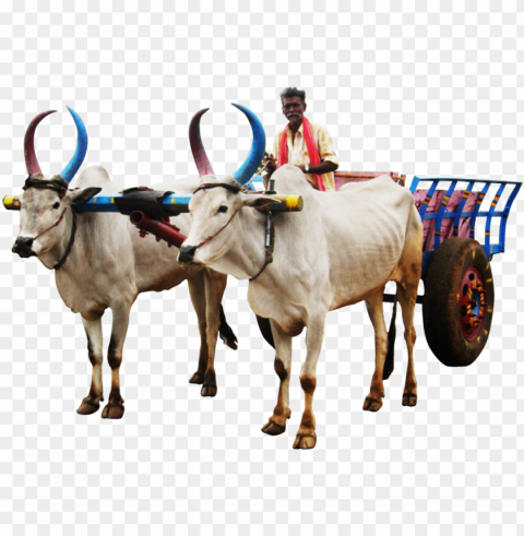 jugaad render - bullock cart image High-definition transparent PNG