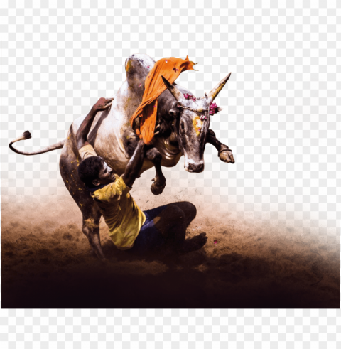 july 2011 - jallikattu art Transparent PNG Isolated Graphic Detail