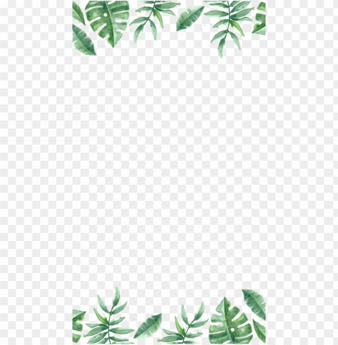 jungle border - keep going and keep growi Isolated Item with Clear Background PNG