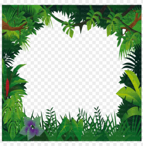 jungle frame jungle frame - jungle frame clipart High-resolution PNG images with transparency wide set