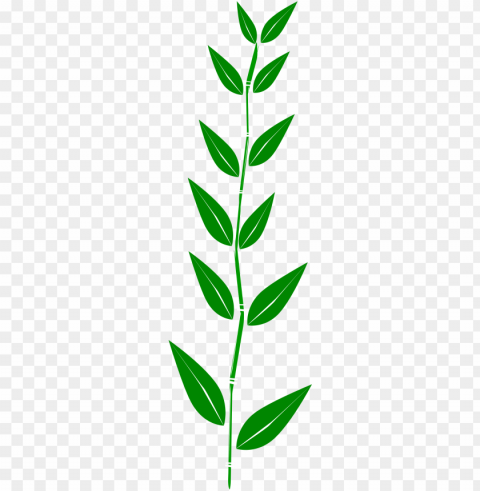 jungle leaves clip art - bamboo leaf clipart Free download PNG with alpha channel extensive images
