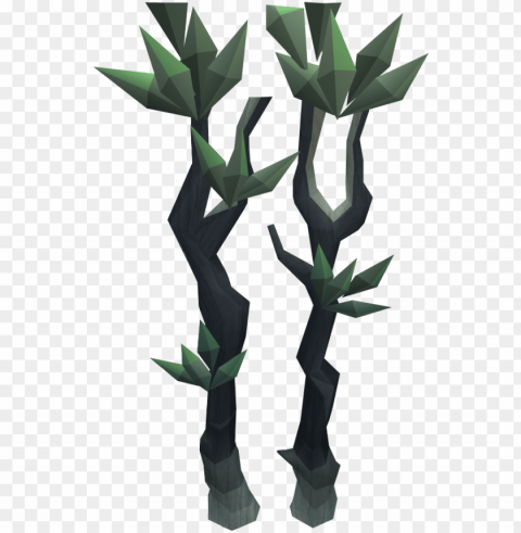 jungle trees - spindle tree Clear background PNG elements
