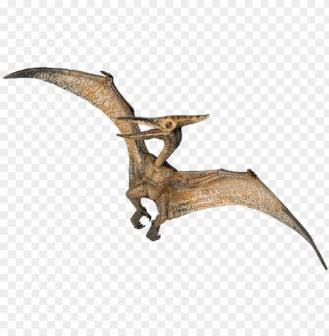 jurassic park playfield pterodactyl Free PNG images with alpha channel set