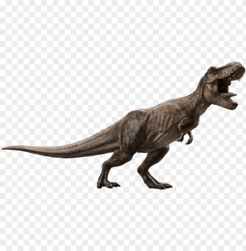 Jurassic World Fallen Kingdom Tyrannosaurus V5 By Sonichedgehog2-dceqjc6 - Jurassic World Tyrannosaurus Rex Isolated Artwork On Transparent PNG