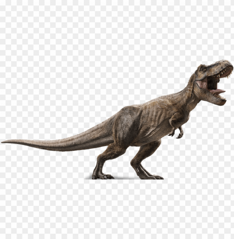 jurassic world vr expeditiontm - jurassic world fallen kingdom t rex PNG Isolated Subject on Transparent Background