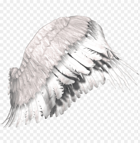 justin bieber with angel wings PNG cutout