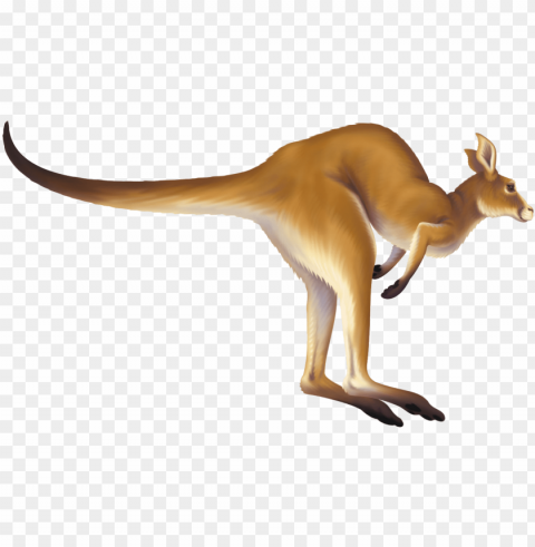 kangaroo - jumping kangaroo animated gif Isolated Graphic on Clear Transparent PNG