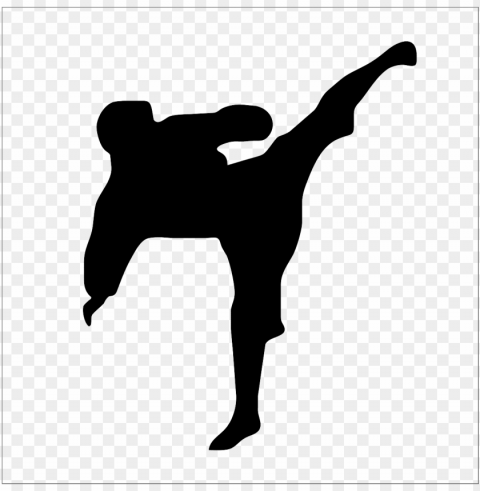 karateicon - kempo icon PNG for overlays