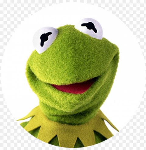 kermit the fro Transparent PNG Isolated Illustration