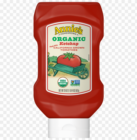 Ketchup Food Transparent Clear Background Isolated PNG Illustration