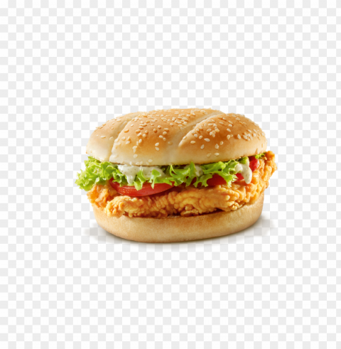 kfc food Isolated Illustration with Clear Background PNG