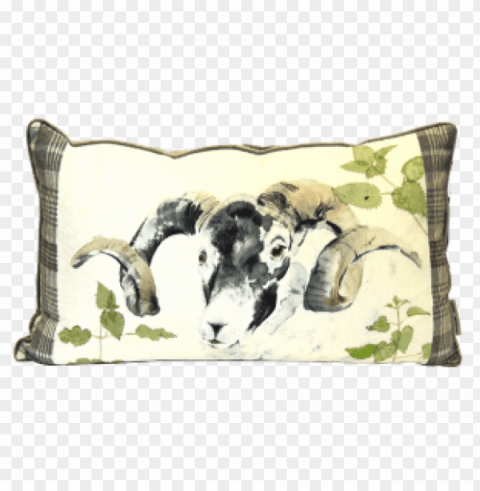 kilburn & scott ram watercolour cushion in size Isolated Design Element in Clear Transparent PNG