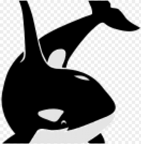killer whale transparent images - orca killer whale schwertwal wal scu throw blanket PNG graphics