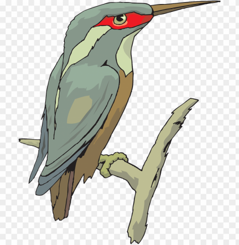 king fisher PNG images with transparent backdrop PNG transparent with Clear Background ID 6ff64c57